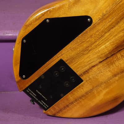 1994 Chip Wilson w/Kubicki Headless Fretless Neck Electric Bass Guitar (VIDEO! Fresh Setup) image 20