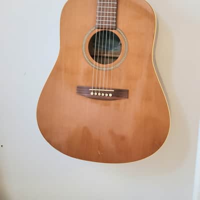 Seagull Godin 20th Anniversary Dreadnought Acoustic Guitar w/ Chainsaw Foam Fort Case image 2