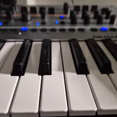 Roland Gaia 2 37-Key 22-Voice Synthesizer 2023 - Present - Silver image 8