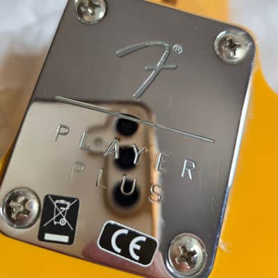 Fender Player Plus Nashville Telecaster with Maple Fretboard 2021 - Present - Butterscotch Blonde image 14