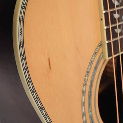 Washburn R320 SWRK Parlor Acoustic Guitar w/Case USED image 11