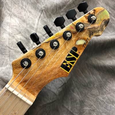 ESP USA TE-II 2019 Resin image 8