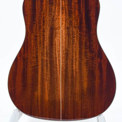 Eastman E10SS TC TFOA LTD Adirondack Natural image 8