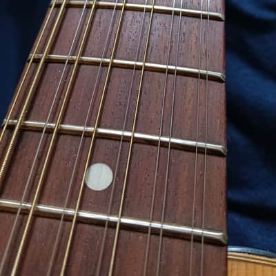Hofner 492 E 12 string 1967. (Mahogany) image 17