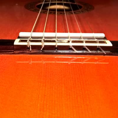 Alvarez Professional Series Model 5202 Classical Guitar -- Mint Condition; w/ SKB Hard Shell Case image 20