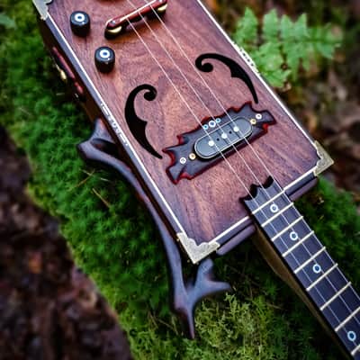 The Indian Eagle II - Rosewood custom cigarbox guitar image 2