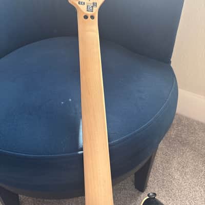EVH Wolfgang Special with Ebony Fretboard 2024 - Present - Silverburst image 9