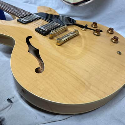 Epiphone Dot Deluxe Semi-Hollow Body Electric Guitar image 19