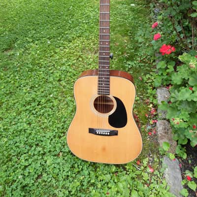 Fender F-35dreadnaught  acoustic Japan  natural image 1