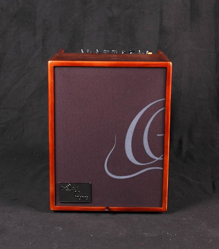 Ortega CONE-WND Acoustic Amp image 1