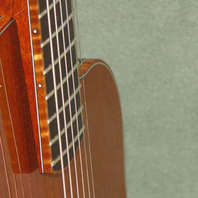 McPherson MG 3.5 Redwood/Rosewood 2014 - High Gloss image 15