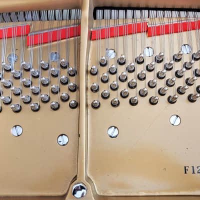 Steinway & Sons Concert Grand Piano image 15