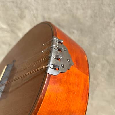 Levin Mandolin 1920s image 16