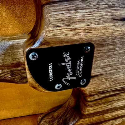 Fender Limited Edition American Acoustasonic Stratocaster 2020 - Exotic Ziricote image 18