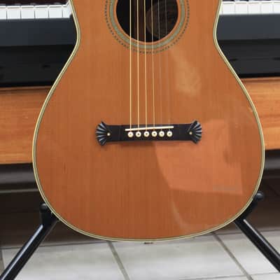 Washburn R-306 1892 reissue parlor guitar 1994 - natural image 1