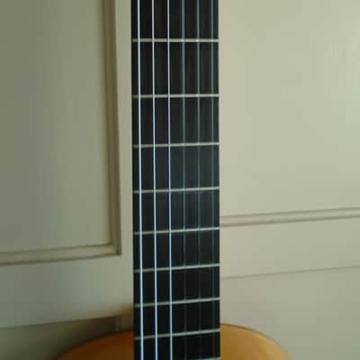 1978 Mitsuru Tamura flamenco blanca image 13