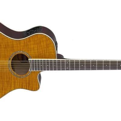 Yamaha Apx 10 Cn (08/28) | Reverb Canada