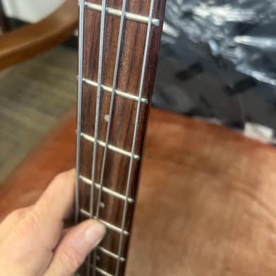 Hofner HI-CB-PE 4 String Bass With (NEW) Gator Gig Bag image 4