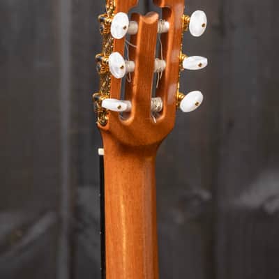 Chris Carrington Classical Guitar 366 2020 - Natural Gloss image 24