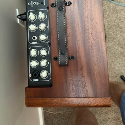 Taylor Circa 74 2-Channel 150-Watt 1x10" Acoustic Guitar / Vocal Combo 2024 - Present - Natural Mahogany image 2