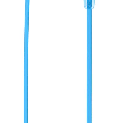 Sony WI-C300 Wireless In-Ear Headphones, Blue (WIC300/L) image 2