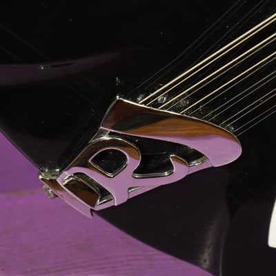 1989 Rickenbacker 370/12RM Roger McGuinn Semihollow Electric 12-String Guitar (VIDEO! Fresh Work, Ready to Go, w/Pedal) image 10