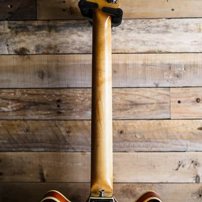 1966 Fender Coronado ii In Sunburst image 6