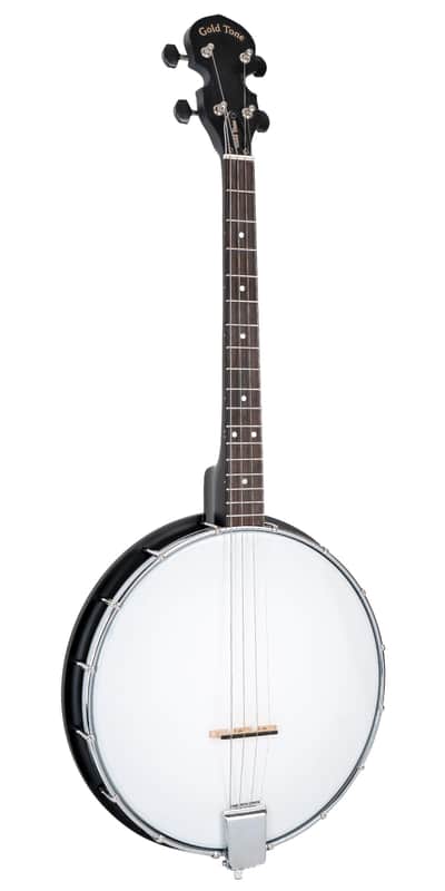 Gold Tone AC-4IT Acoustic Composite Nato Neck 4-String Openback Irish Tenor Banjo w/Gig Bag image 1