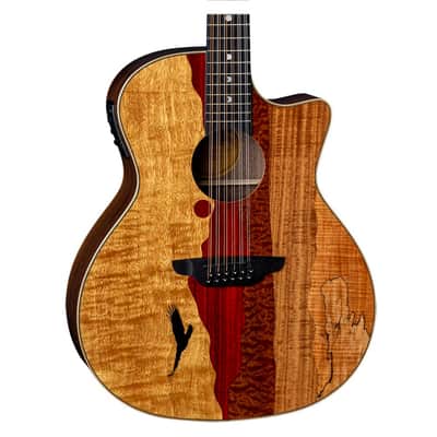 Luna Vista Eagle 12-String Acoustic/Electric Guitar image 1