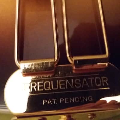 Epiphone Emperor Regent 2001 VS image 6