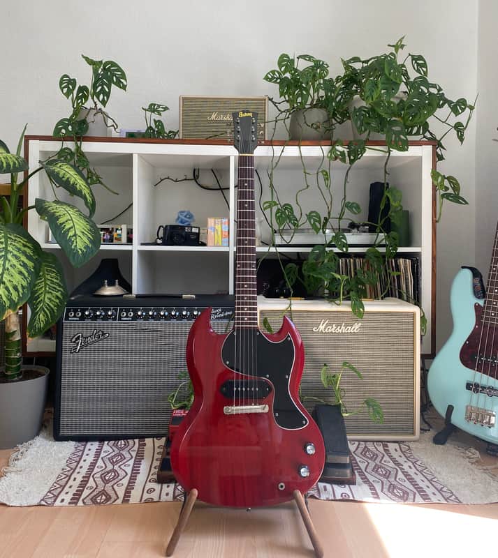 Burny Rock n'Roll Version SG image 1