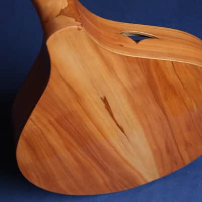 Luthelier Irish mandolin 2025 - French polish image 9