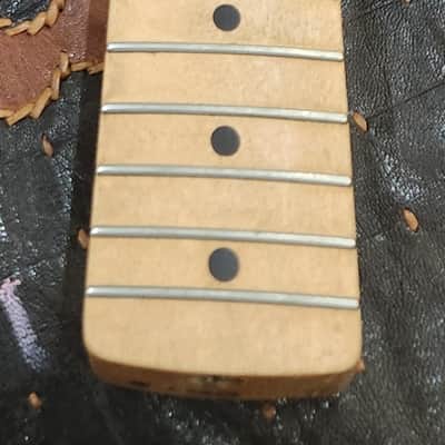 Tokai TST-'56 Maple Neck 1980s Japan image 10