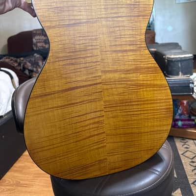 Epiphone Dobro Hound dog deluxe round neck resonator image 5