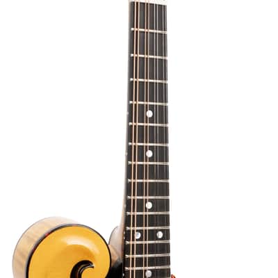 Gold Tone Grandmaster Elite Old Swiss/Italian Spruce Top 8-String Mandolin w/Hard Case image 7