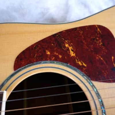 Ibanez AW800NT Artwood Series Acoustic Guitar 2008 Mixed/Various image 1