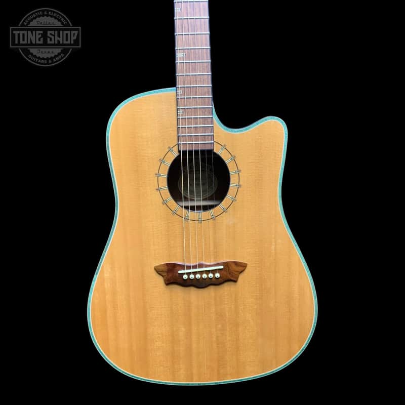 Used 2003 Washburn D46SCE Southwest w/Case TFW3552 image 1