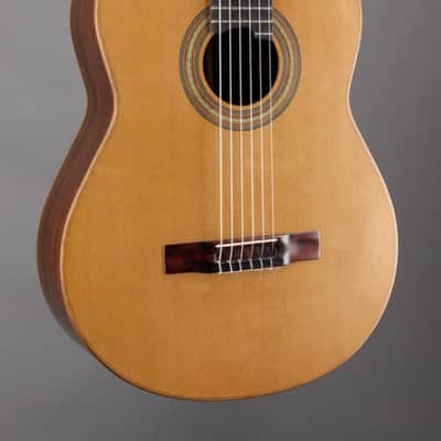 Classical Guitar - Pro Concert Model C600 image 4