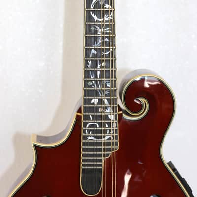 Michael Kelly Dragonfly Custom II Limited Edition Electric Mandolin LH W/Case image 4