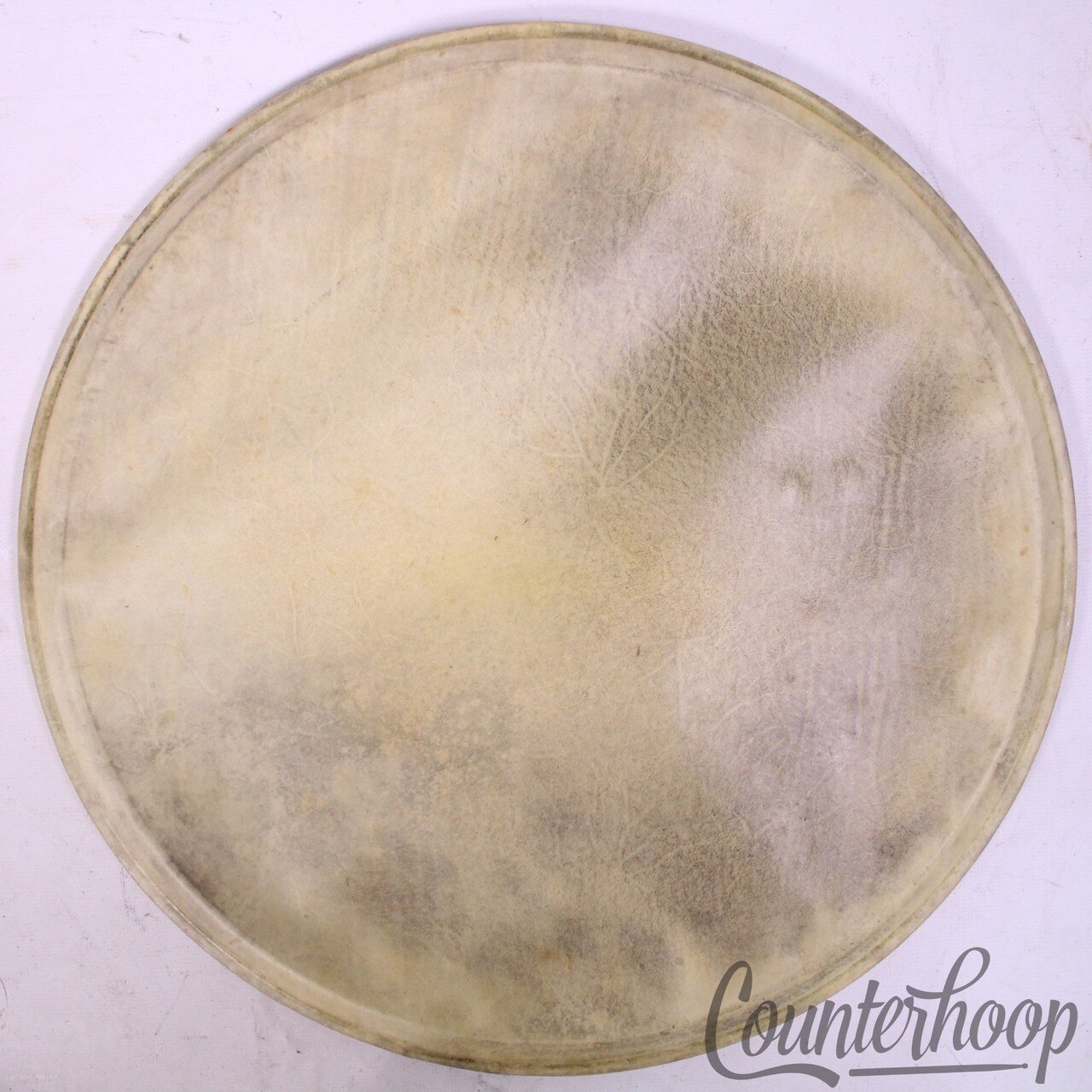Leedy Snare/Tom 13"Calf Skin Drum Head Batter/Resonant Vintage30s USA Steel Hoop — main photograph