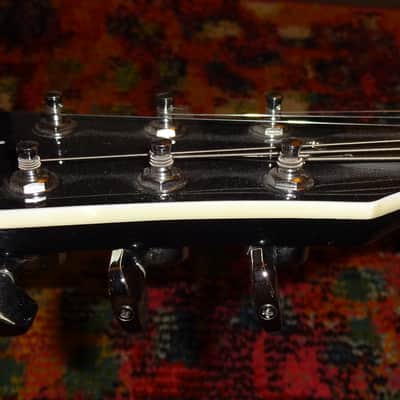 Artist Series Guitars Single Cut 2010-2016 Walking Dead Graphics image 5