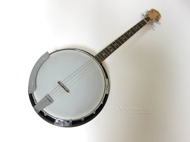 Gold Tone 4-String Irish Tenor Banjo w/ Gig Bag image 1