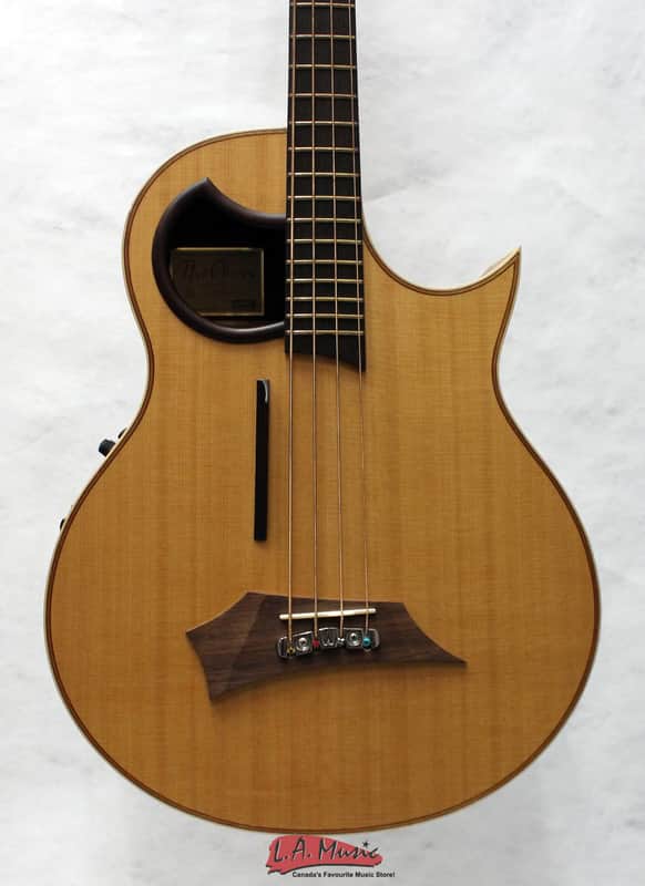Warwick Alien Acoustic Bass Guitar image 1