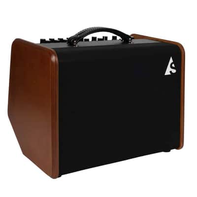 Godin - ASG-8 - Acoustic Solutions Wood 120 Watts - With Cover image 1