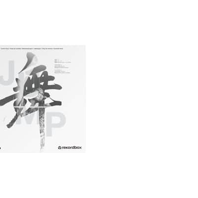 Pioneer RB-VD2-W rekordbox DVS Control Vinyl Set of 2 (Solid White) image 2