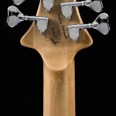 Ritter Roya 5-String Captain Silver USED (183) image 6