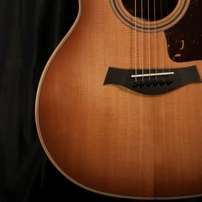 Taylor 314ce Studio 2025 Shaded Edgeburst image 4
