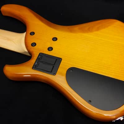 G.Gould GGi5 SST Hybrid Graphite/Maple Composite neck - Alder body - Amber finish - Pao Ferro Fretboard - 8.6 pounds - #1513 image 4