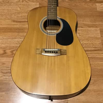 Peavey AGP6 Natural | Reverb
