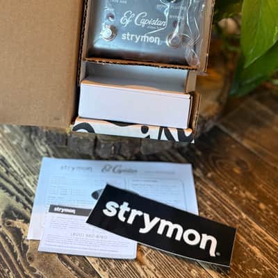 Strymon El Capistan V1 image 3